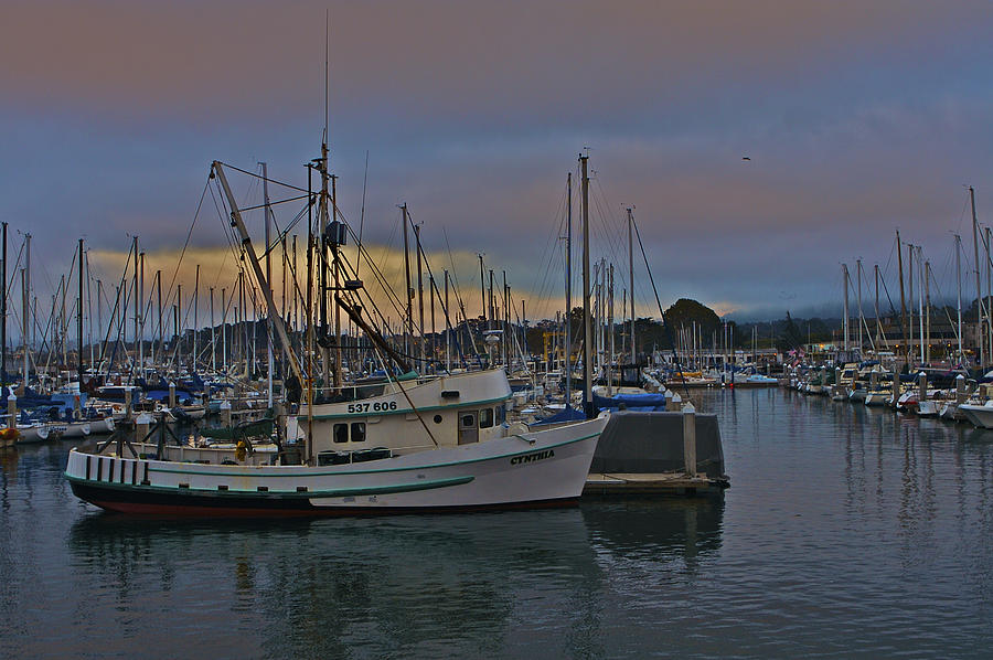 Harbor and Marina Monterey Photograph by SC Heffner