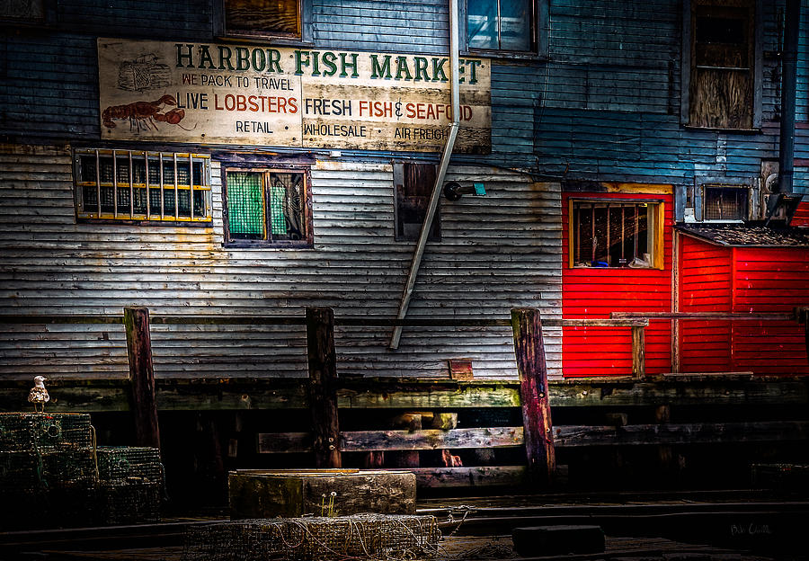 Fish Photograph - Harbor Fish Market by Bob Orsillo