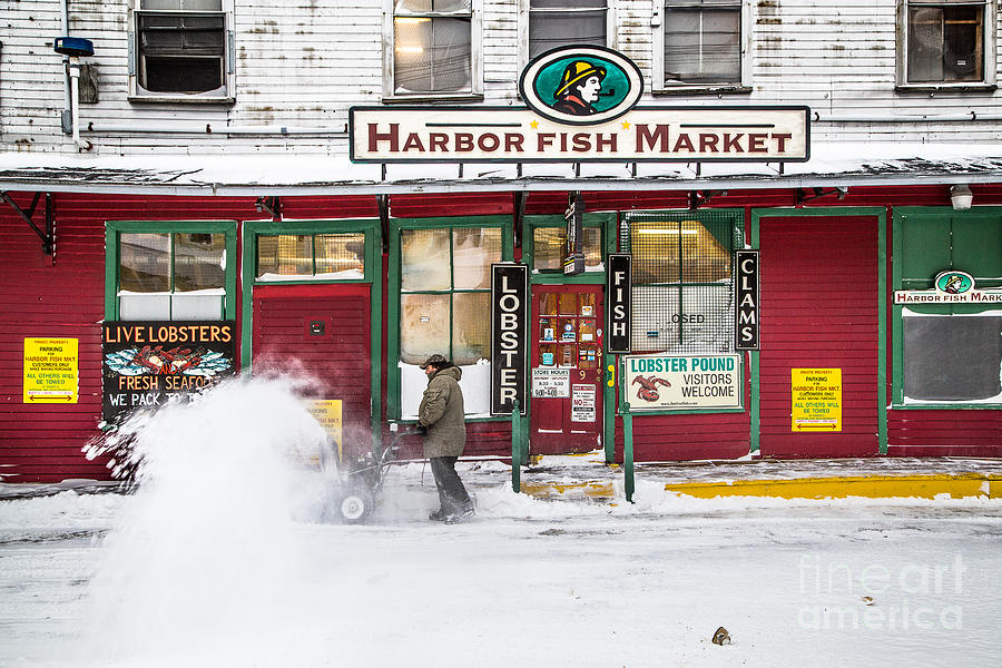 Harbor Fish Market in Winter Photograph by Benjamin Williamson