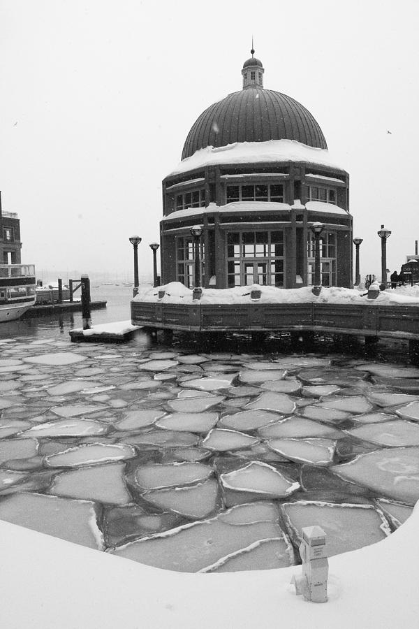 Harbor Ice Photograph by Allan Morrison