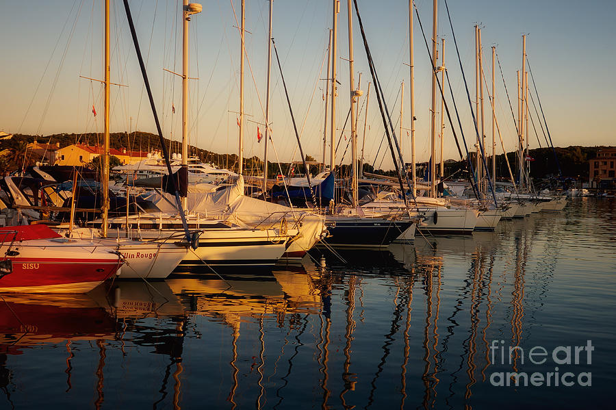 Harbor in the early evening light Photograph by Nick  Biemans