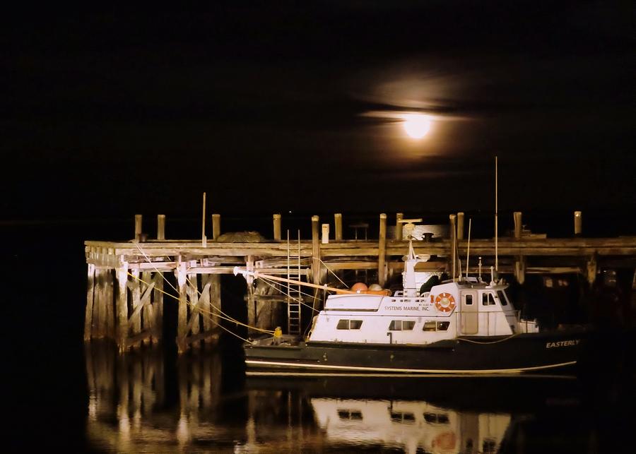 Harbor moon Photograph by Janice Drew