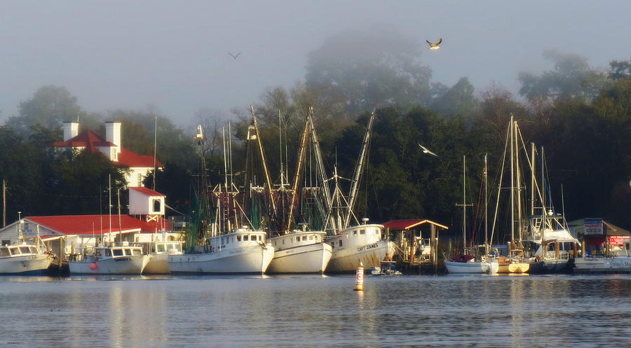 Harbor Morning Photograph by Deborah Smith