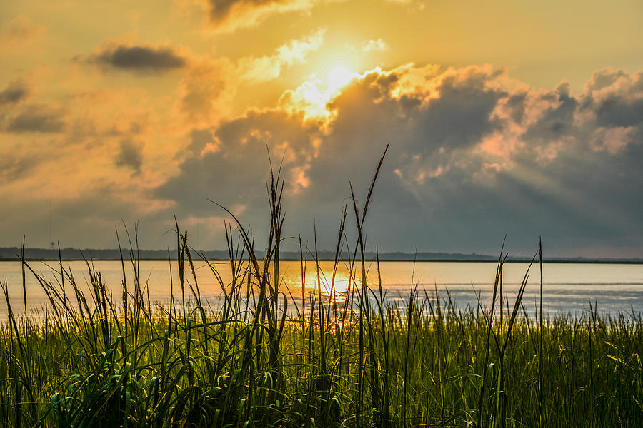 Nature Photograph - Harbor Sunrise by Wendy Mogul