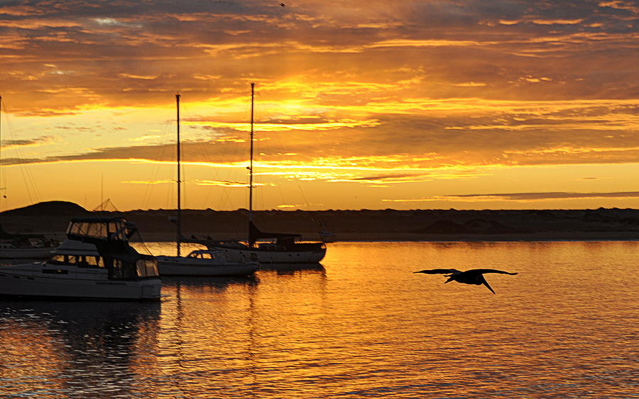 Harbor Sunset Photograph by AJ  Schibig