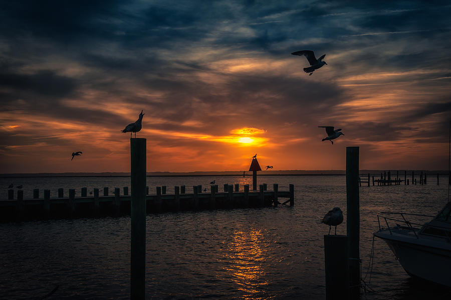 Harbor Sunset Photograph by David Kay