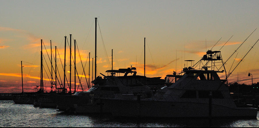 Harbor Sunset Photograph by George Taylor