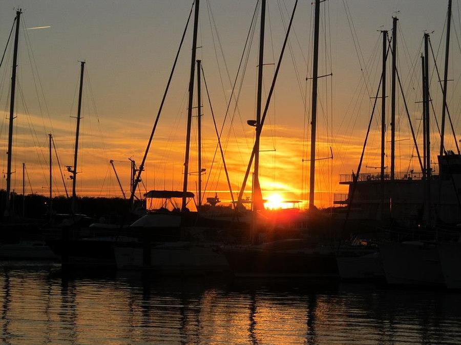 Sunset Photograph - Harbor Sunset in Charleston SC by Joetta Beauford