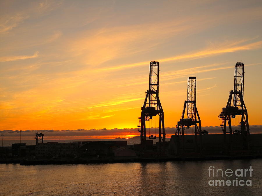 Crane Photograph - Harbor Sunset by Phyllis Kaltenbach