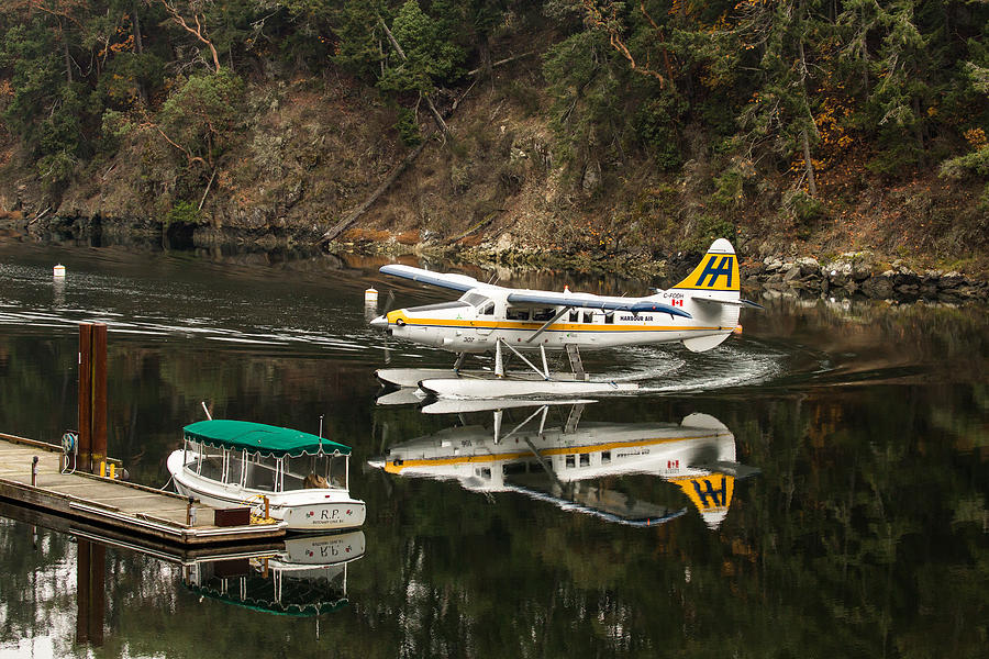 Harbour Air in the Cove Photograph by John Daly