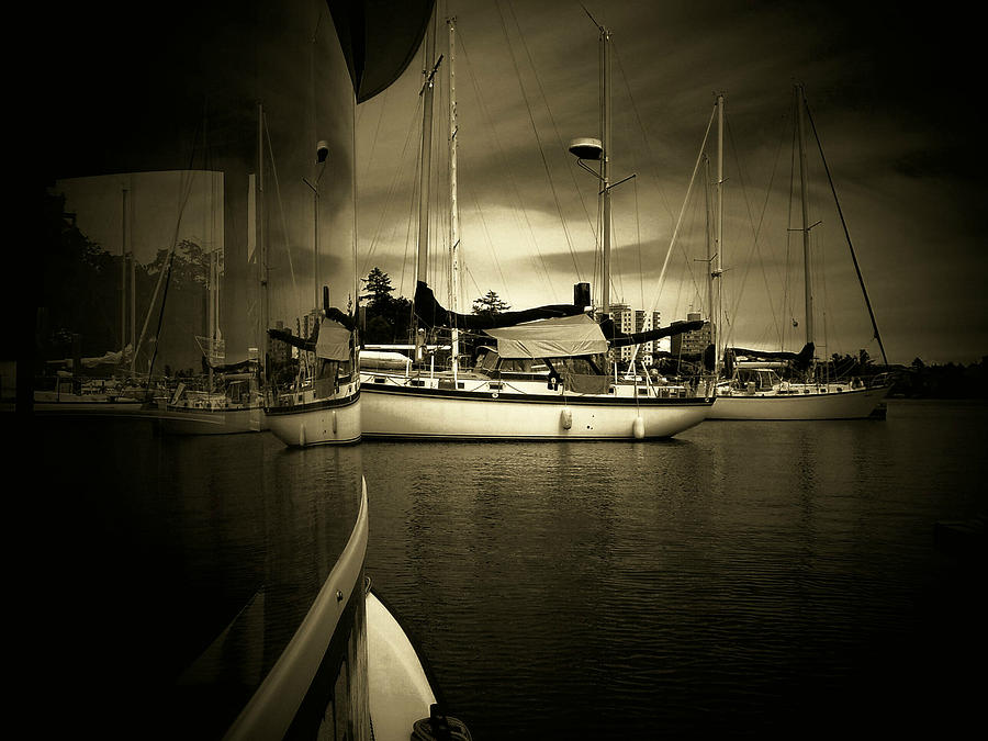 Harbour Life Photograph by Micki Findlay