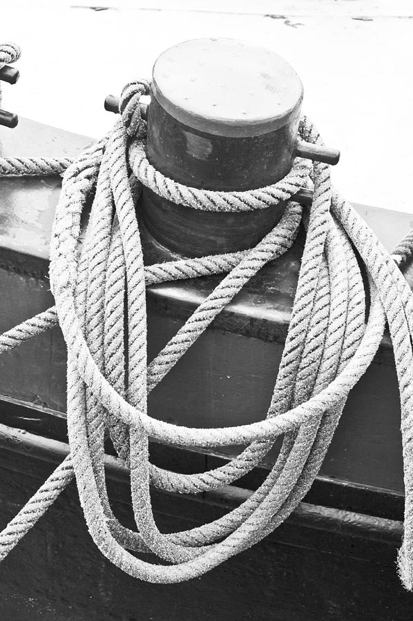 Anchorage Photograph - Harbour rope by Tom Gowanlock