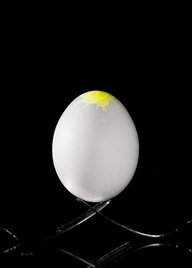 Hard Boiled Egg Photograph by Bob Orsillo