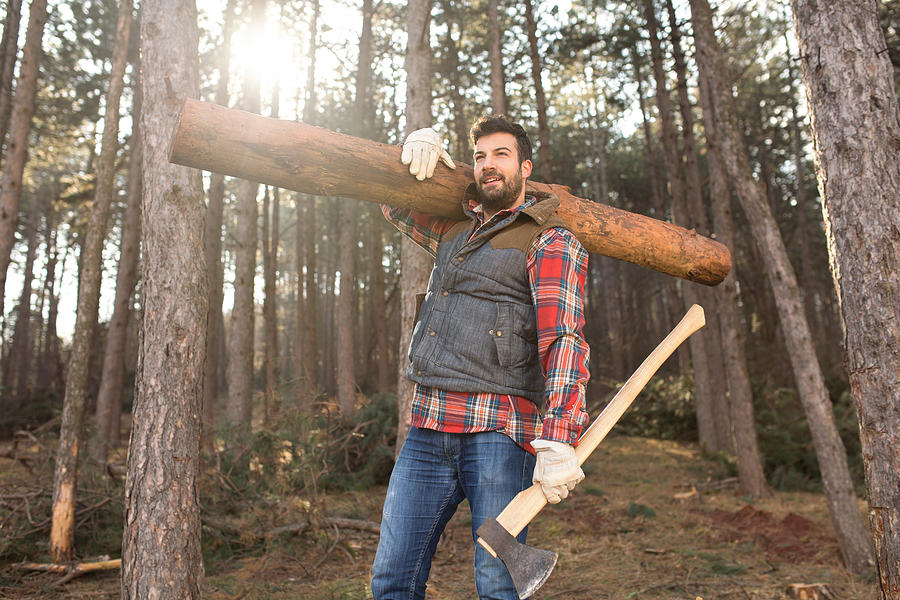 Hardworking Lumberjack Photograph by SrdjanPav