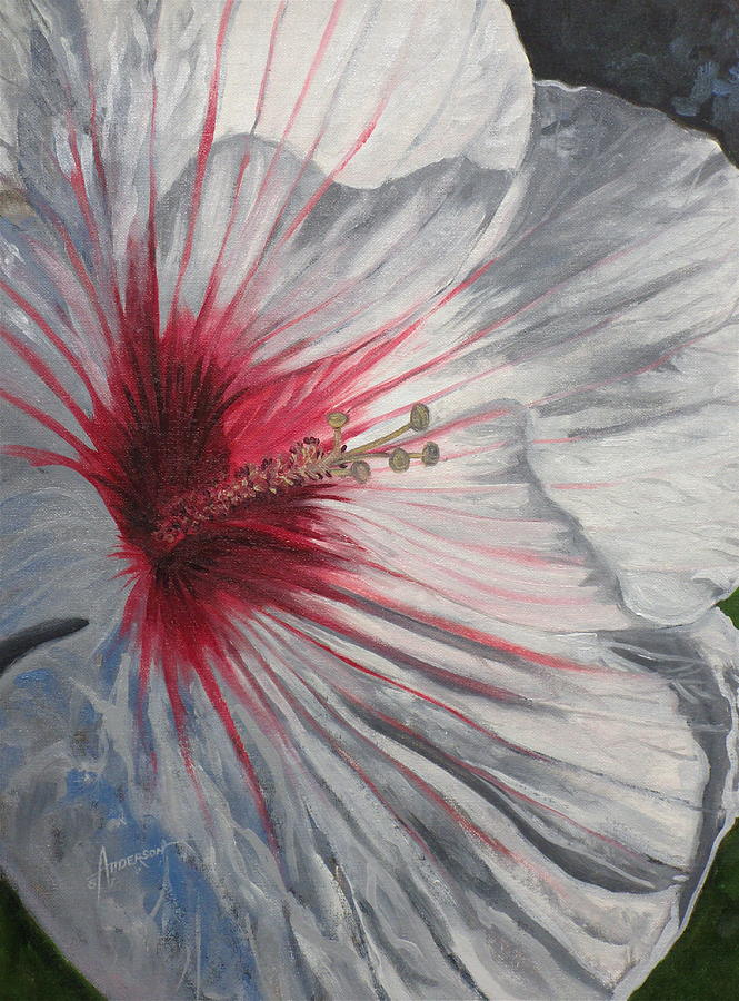 Floral Painting - Hardy Hibiscus by Sherri Anderson Floral Painting - Hardy Hibiscus by Sherri Anderson