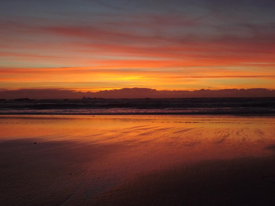 Hare Creek Beach Reds Photograph by Randy Esson - Fine Art America