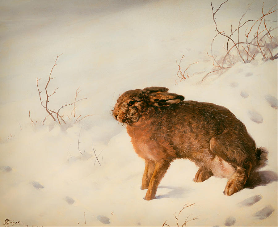 Vintage Painting - Hare in the Snow by Mountain Dreams