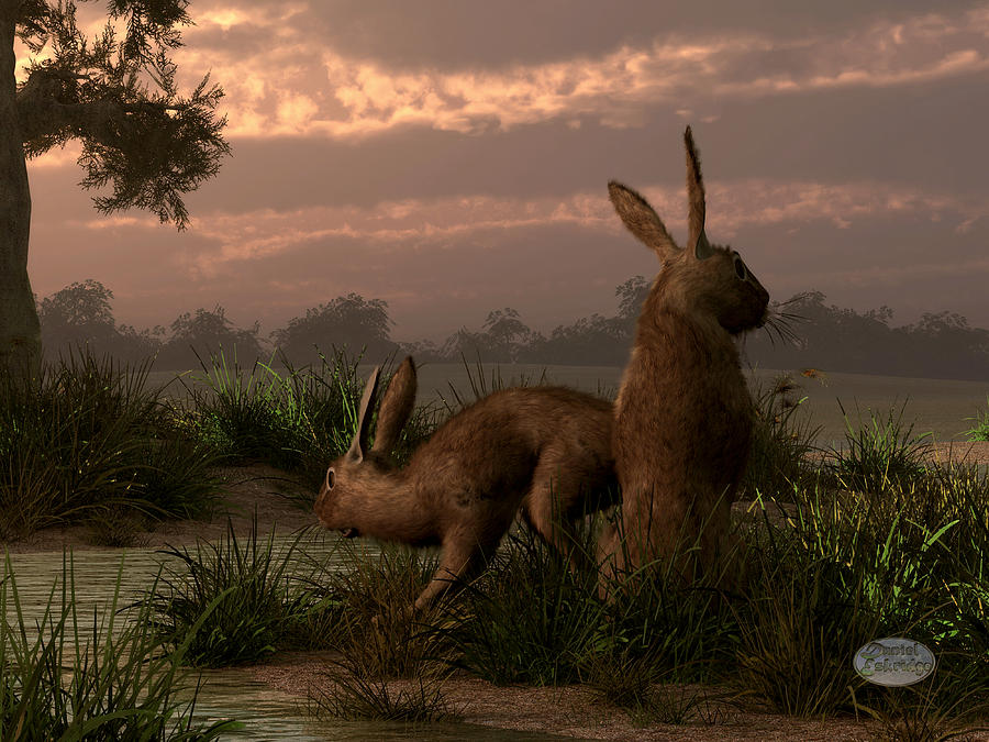 Hares in the Wetlands Digital Art by Daniel Eskridge