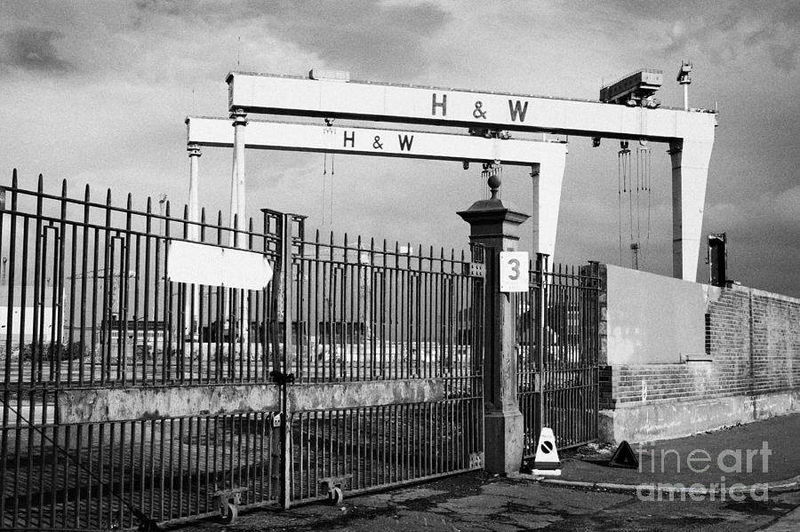 Harland And Wolff Cranes Samson And Goliath Belfast Shipyard Northern ...