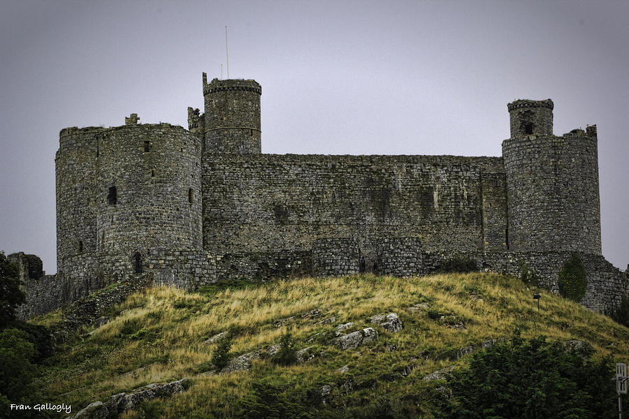 Harlech Castle Photograph by Fran Gallogly