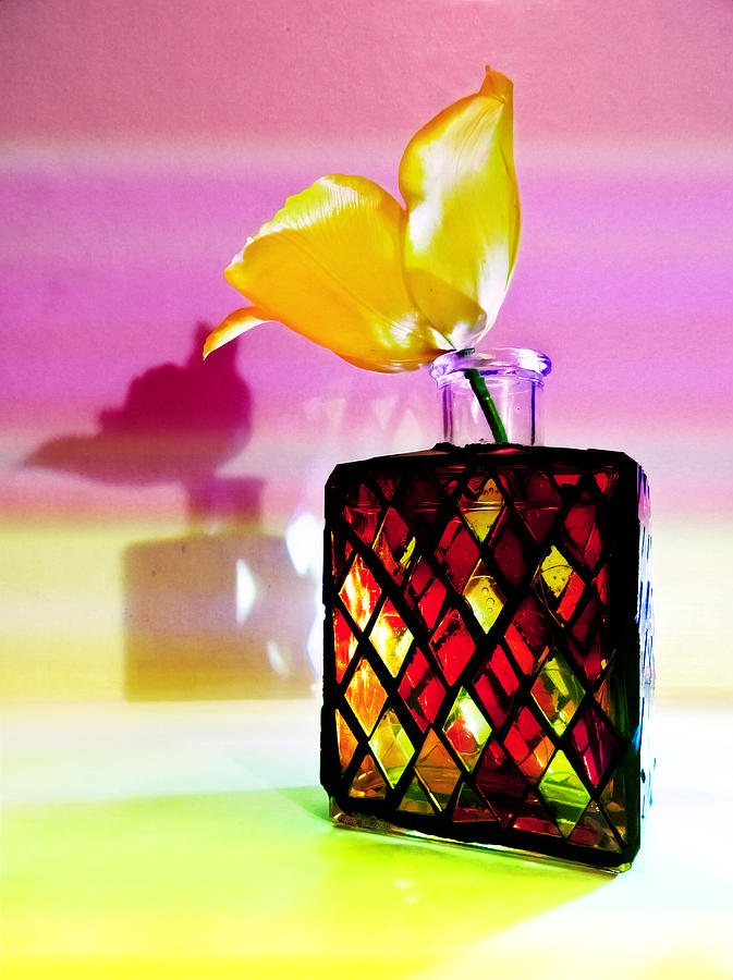 Harlequin Bottle With Yellow Tulip Photograph by Shawna Rowe