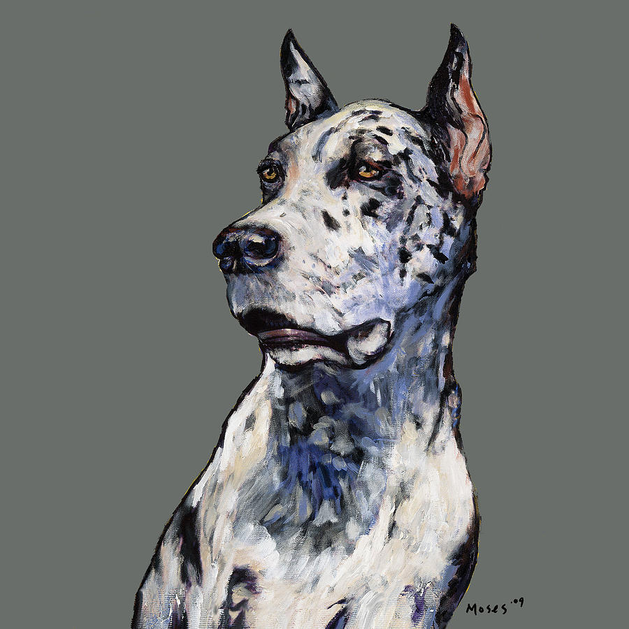 Animal Painting - Harlequin Great Dane by Dale Moses