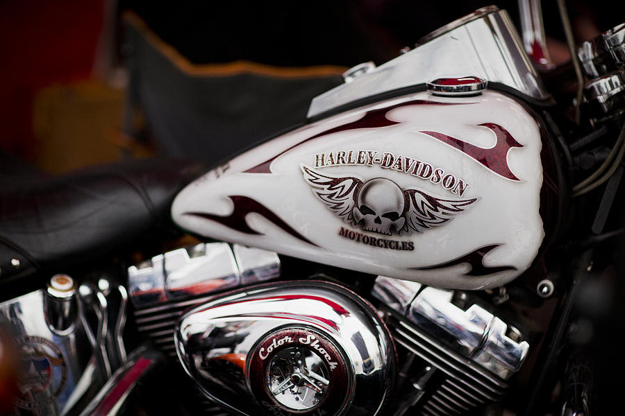 Winter Photograph - Harley Davidson by Charlie Photographer