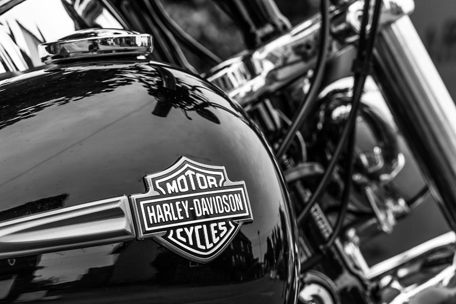 Harley Davidson. Photograph by Gary Gillette