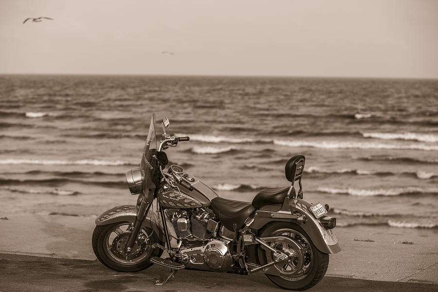 Harley Davidson in Galveston TX  Photograph by John McGraw