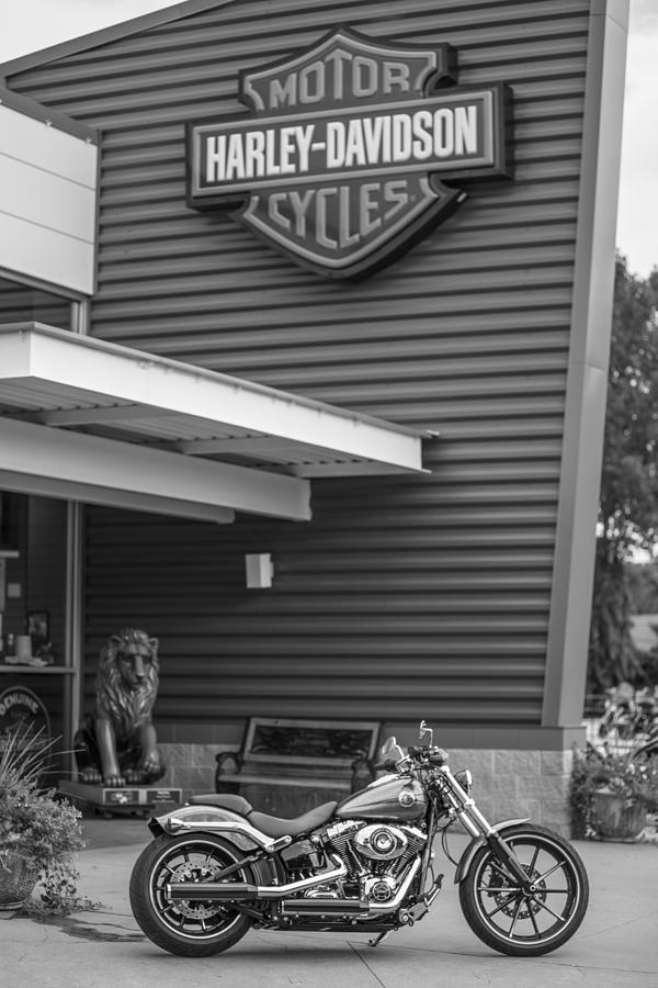 Harley Davidson Sign and Bike  Photograph by John McGraw