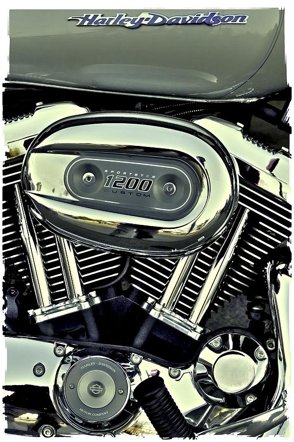 Transportation Photograph - Harley Davidson Sportster 1200 II by David Patterson