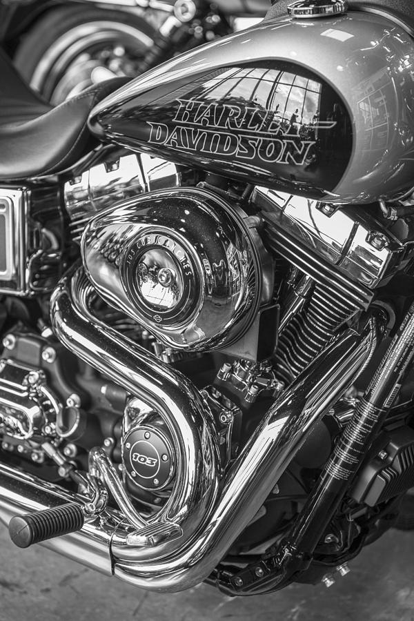 Harley Davidson Tank and Engine  Photograph by John McGraw