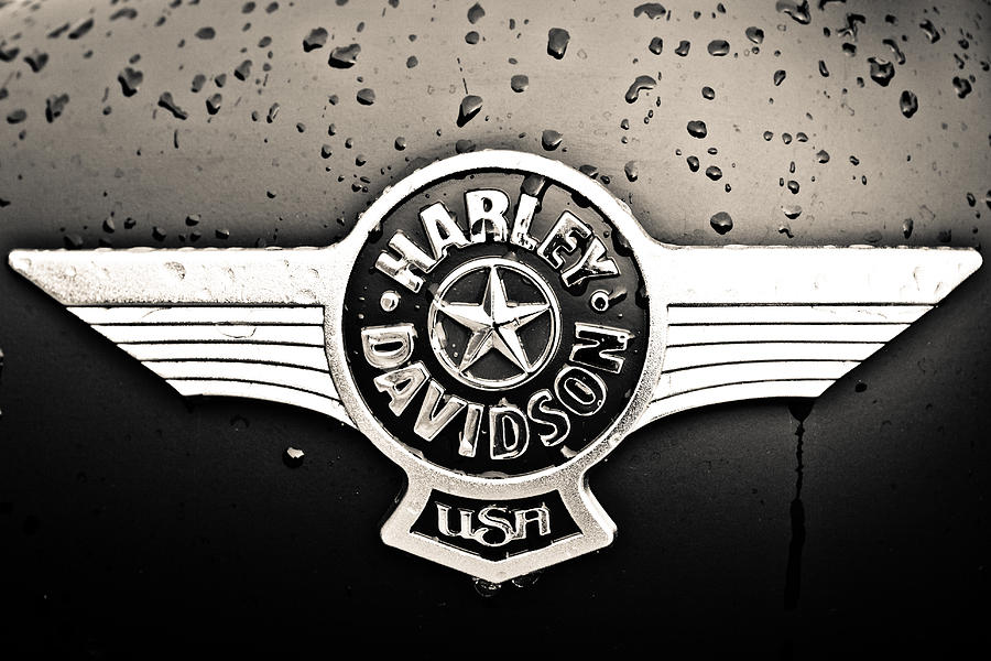 Harley Davidson Photograph - Harley Davidson USA by Sennie Pierson