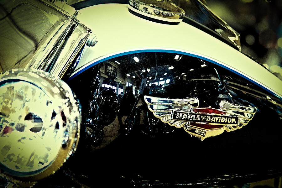 Harley Hog II Photograph by David Patterson
