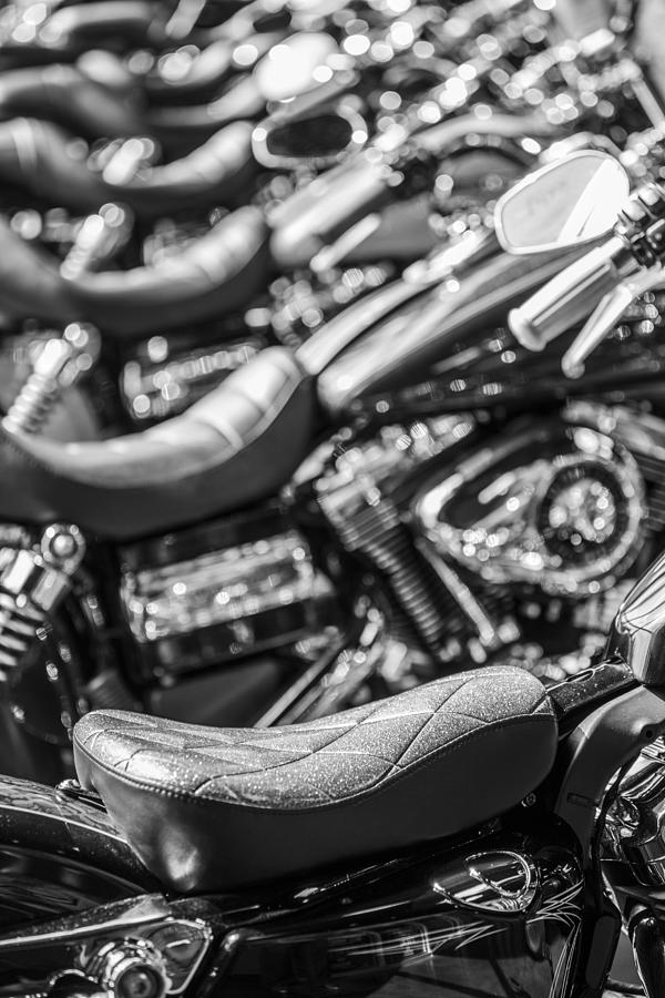 Harley Seat and other Bikes Photograph by John McGraw