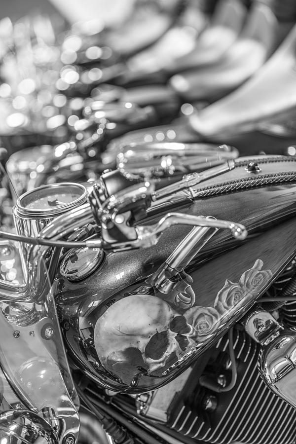 Harley Skull  Photograph by John McGraw