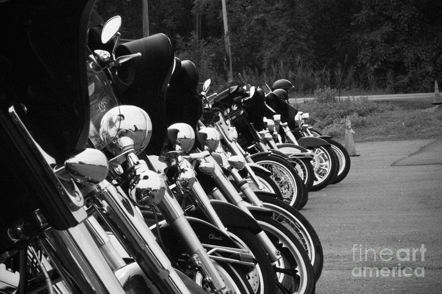 Harleys all in a row Photograph by Jim Lepard