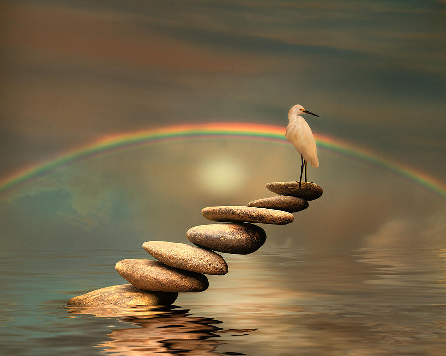 Harmonious Balance Photograph by Stephen Warren - Fine Art America