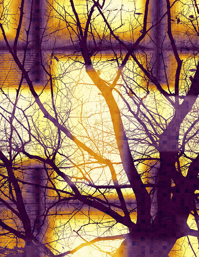 Harmonious Colors - Violet Yellow Orange Digital Art by Shawna Rowe