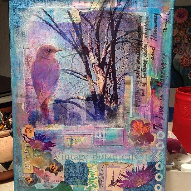 Harmony .. A New #mixedmediacollage Photograph by Robin Mead