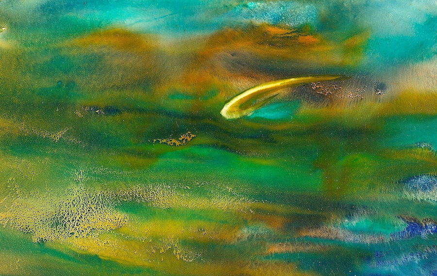 Fish Painting - Harmony by Debra LePage