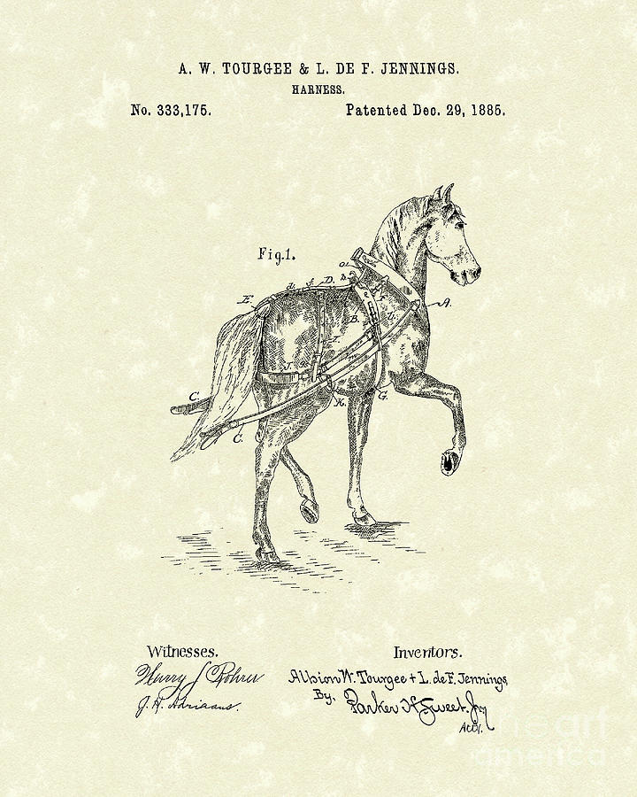 Harness 1885 Patent Art Drawing by Prior Art Design