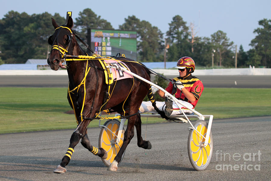Harness Racing 4 Photograph by Dwight Cook