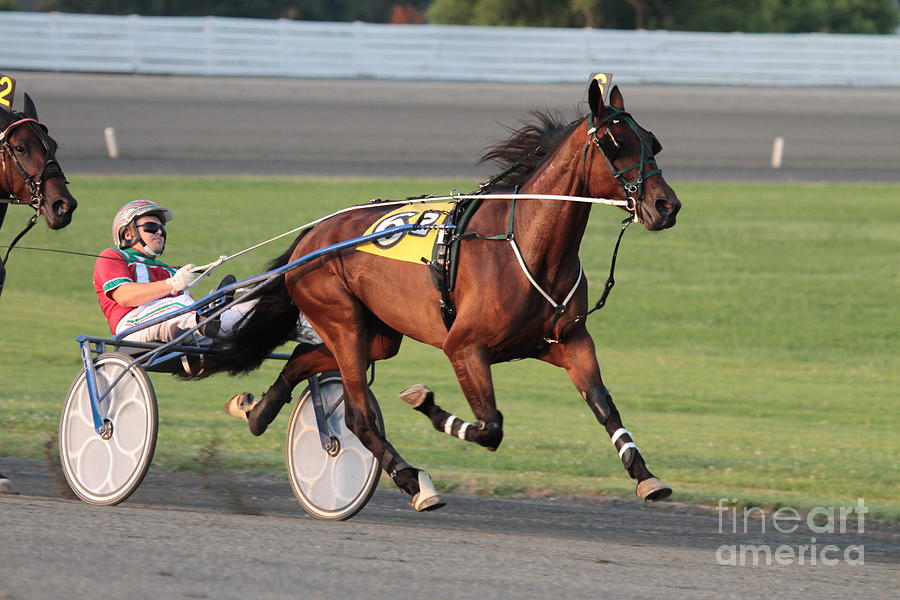 Harness racing Photograph by Dwight Cook