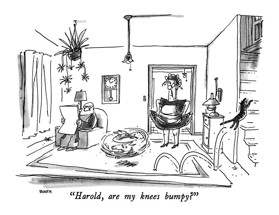 Harold, Are My Knees Bumpy? Drawing by George Booth