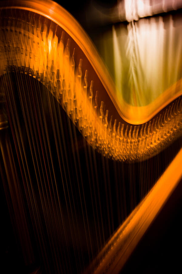 Harp Photograph by David Smith