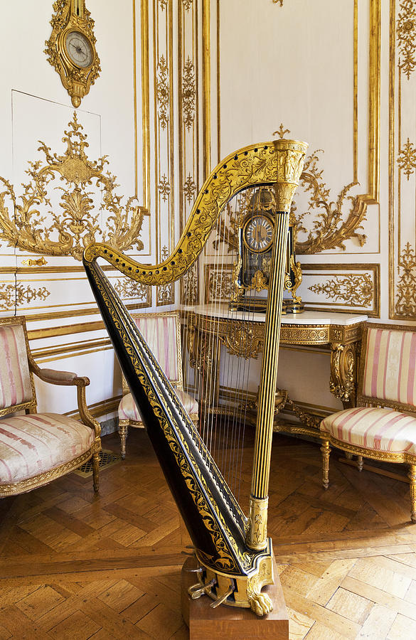 Harp in the Chateau Photograph by Maj Seda