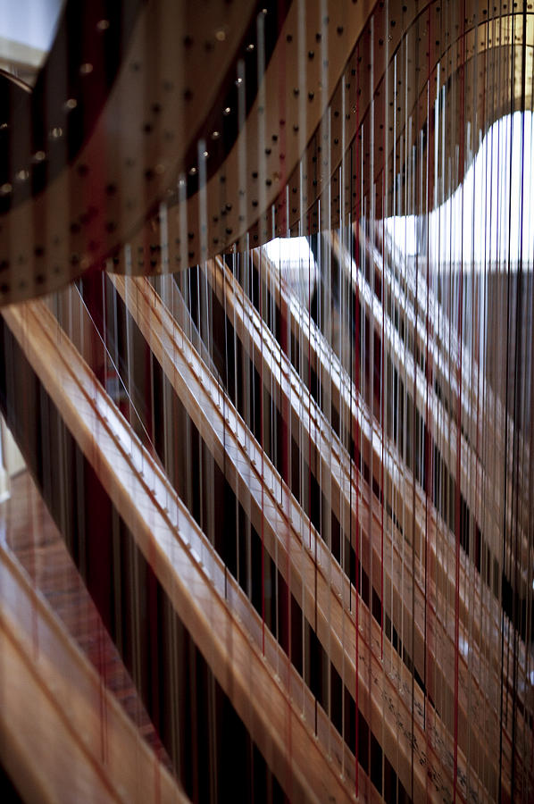 Musical Instrument Photograph - Harps by Sandy Swanson