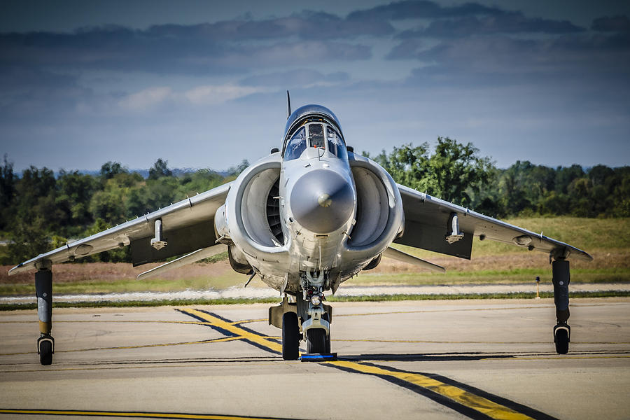 Harrier 2 Photograph by Bradley Clay