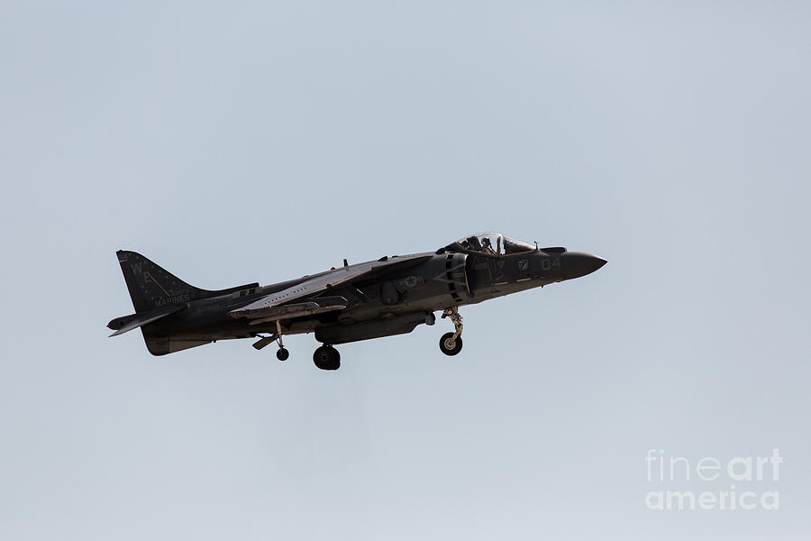 Harrier Landing Config Photograph by John Daly